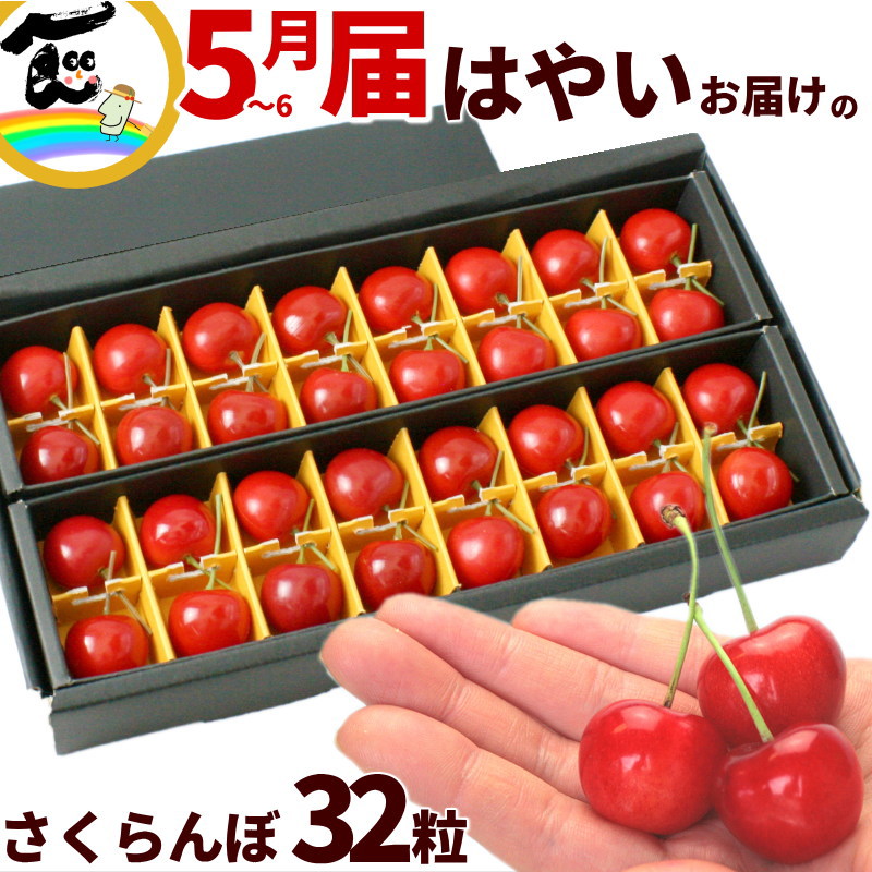 さくらんぼ山形県産 さくらんぼ【早いお届けの佐藤錦】32粒 秀品 Lサイズ 送料込