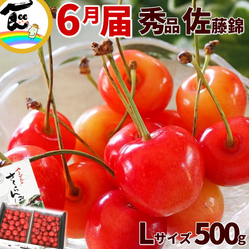 さくらんぼ 山形県 東根市産 佐藤錦 さくらんぼ 500g（250g×2パック）秀品 L～2Lサイズ以上 バラ詰