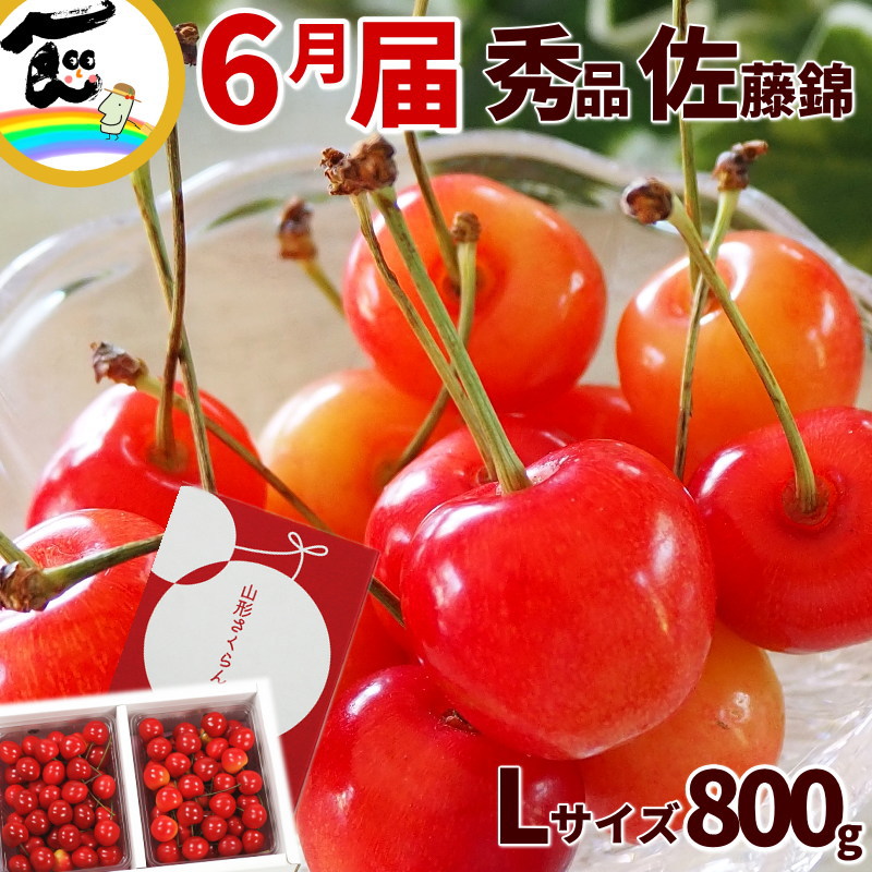 さくらんぼ 山形県 東根市産 佐藤錦 さくらんぼ 800g（400g×2パック）秀品・L～2Lサイズ以上・バラ詰