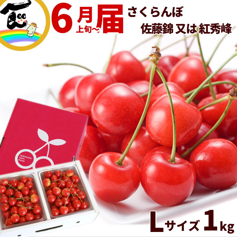 さくらんぼ 山形県産 さくらんぼ  1kg (500g×2P)  秀品 Lサイズ バラ詰 品種：佐藤錦又は紅秀峰 佐藤錦 紅秀峰 山形 さくらんぼ