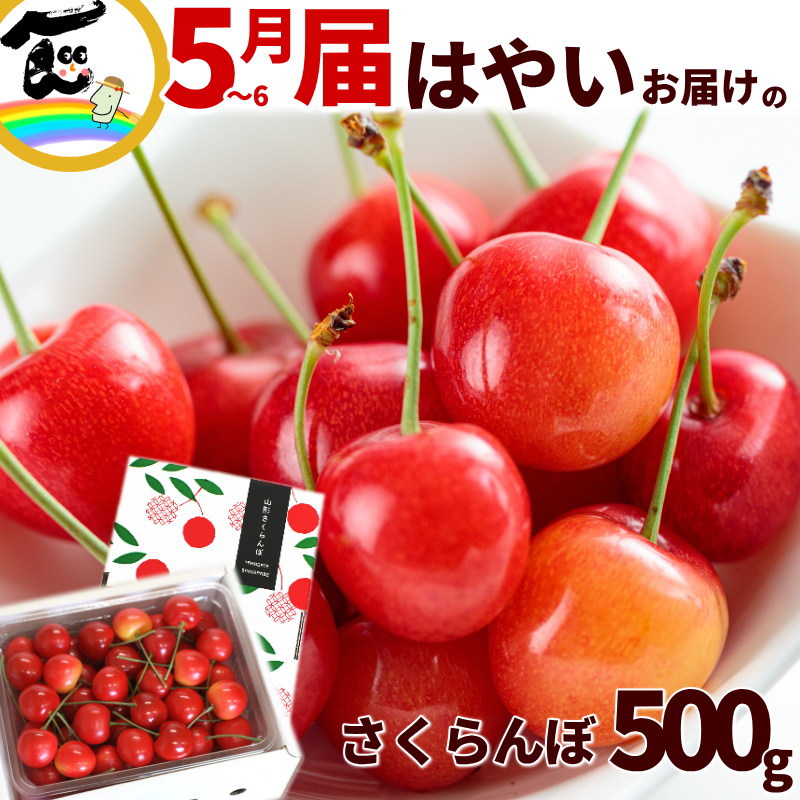 山形県産 さくらんぼ  早いお届け 佐藤錦 または 紅秀峰 500g Lサイズ さきどり 早い 甘い 糖度