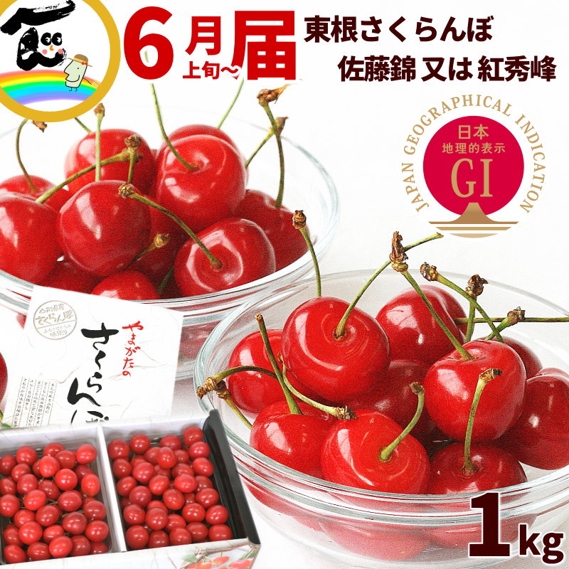 山形県産さくらんぼ GI東根さくらんぼ 1kg (500g×2P)  秀品 Lサイズ バラ詰 品種：佐藤錦又は紅秀峰 佐藤錦 紅秀峰 山形 さくらんぼ
