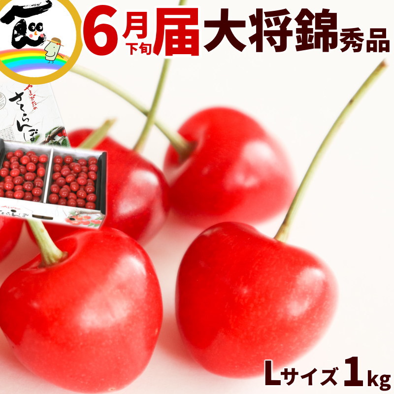 さくらんぼ 送料無料 山形産さくらんぼ 大将錦(たいしょうにしき) 1kg(500g×2P) L・2Lサイズ 秀品 バラ詰