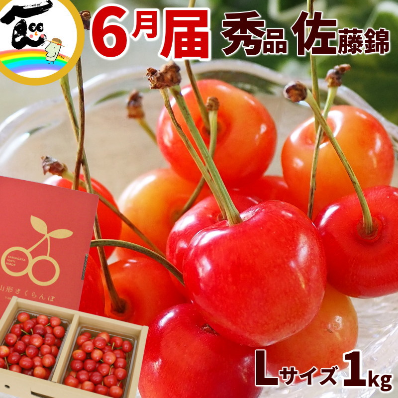 さくらんぼ 山形県 東根市産 佐藤錦 さくらんぼ 1kg（500g×2パック）秀品・Lサイズ以上・バラ詰