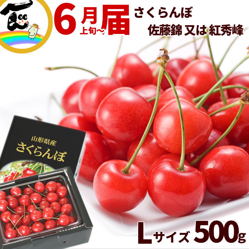 さくらんぼ 山形県産 さくらんぼ  500g  秀品 Lサイズ バラ詰 品種：佐藤錦又は紅秀峰 佐藤錦 紅秀峰 山形 さくらんぼ