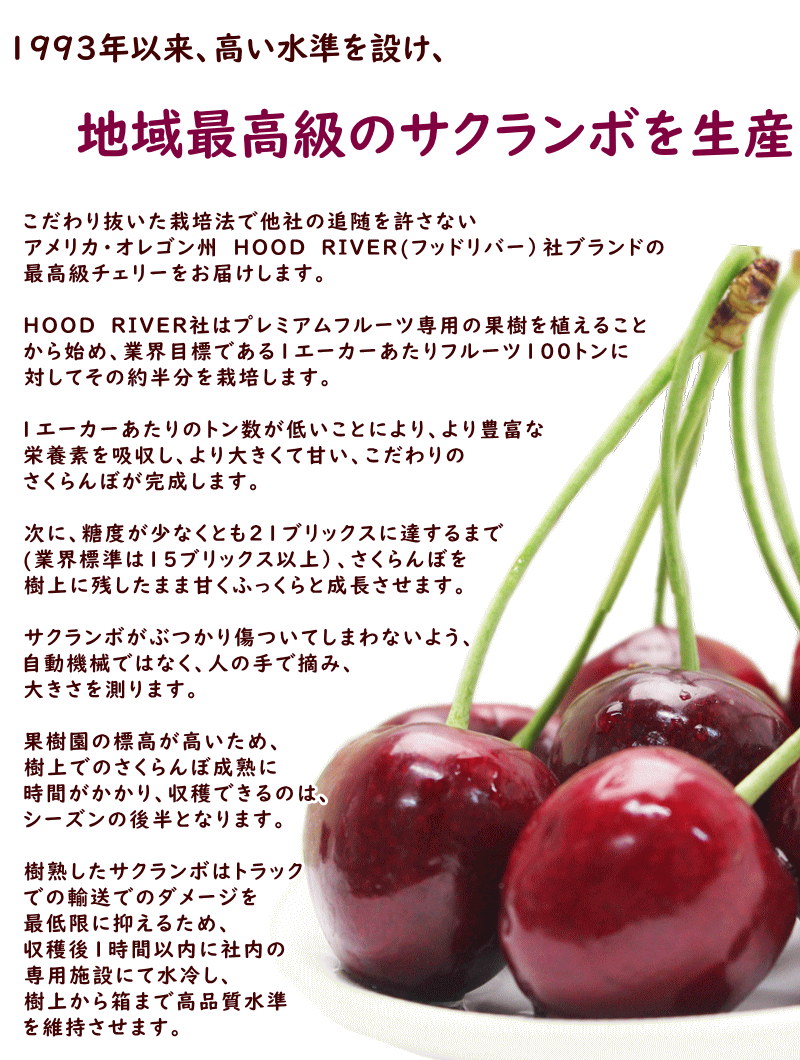 さくらんぼ 送料無料 アメリカ オレゴン州 フッドリバー River Hood さくらんぼ 送料無料 アメリカ オレゴン州 フッドリバー River Hood