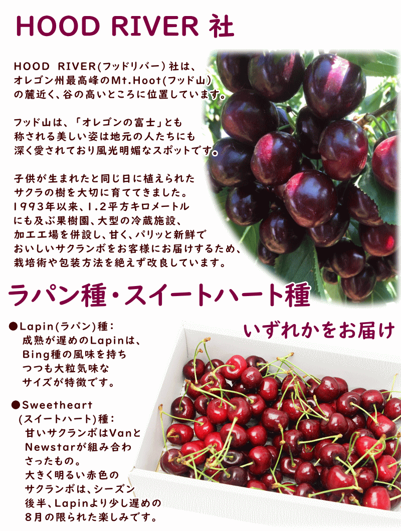 クーポンあり さくらんぼ 送料無料 アメリカ オレゴン州 Hood River 品種お任せ 待望 社 バラ詰 フッドリバー 1kg前後 アメリカンチェリー