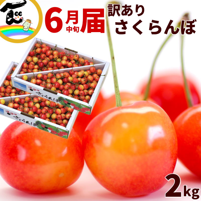 1kg あたり 3,490円 さくらんぼ 訳あり 2kg 山形県産 さくらんぼ 品種 佐藤錦 紅秀峰 無選別 自宅用 チェリー まとめ買い 1箱×2箱 山形ふるさと食品館 山形県さくらんぼ佐藤錦800グラム訳あり