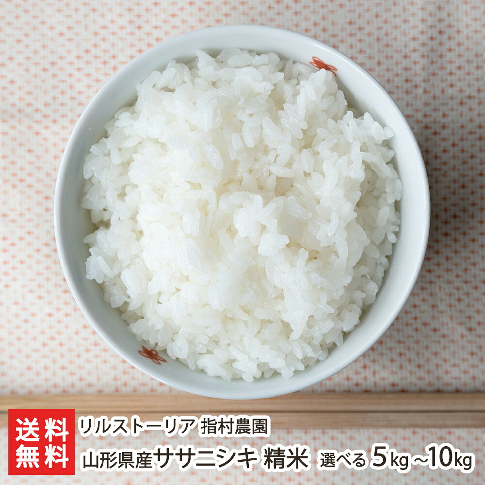 【令和7年度米】山形県産 ササニシキ 精米 選べる 5kg 10kg リルストーリア 指村農園 ささにしき 山形米 米 白米 大粒米 低温熟成乾燥米 新庄市産 山形産 生産者直送 お取り寄せ ギフト プレゼント 贈り物 代金引換決済不可 送料無料 お歳暮