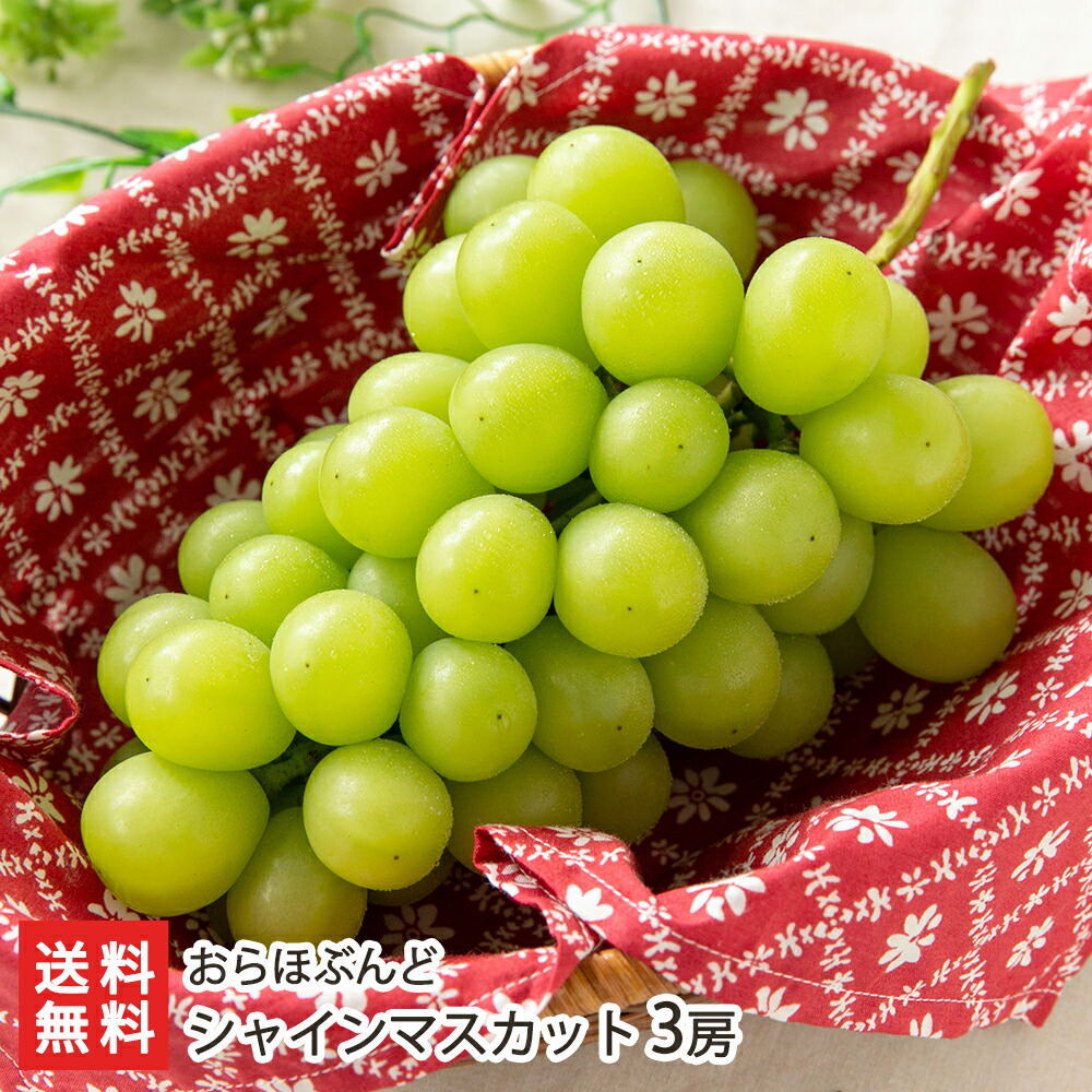 楽天市場】シャインマスカット 1房（1房あたり700g以上） JA山形