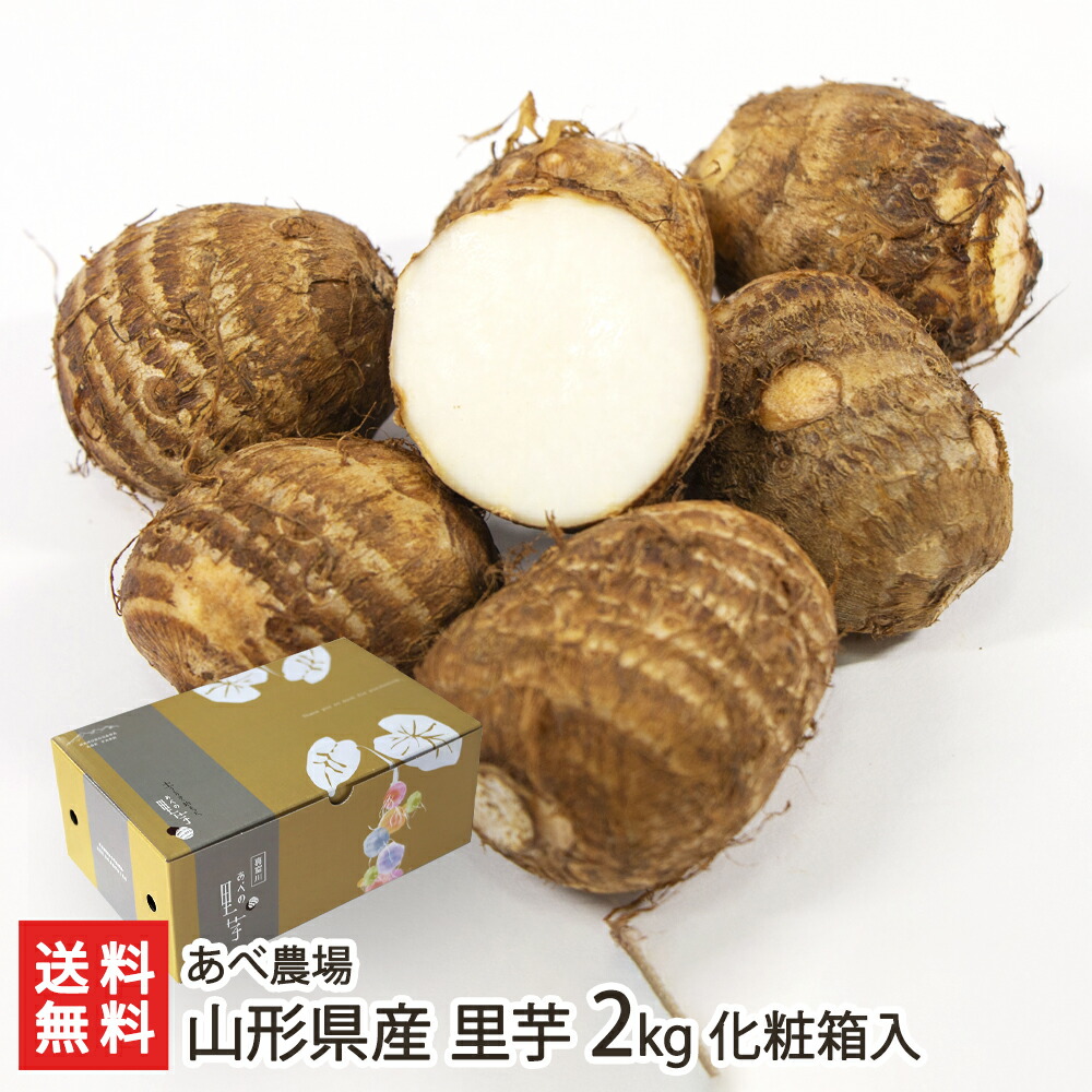 里芋(土垂)　約10kg　栃木県産 里芋(土垂) 約10kg 栃木県産