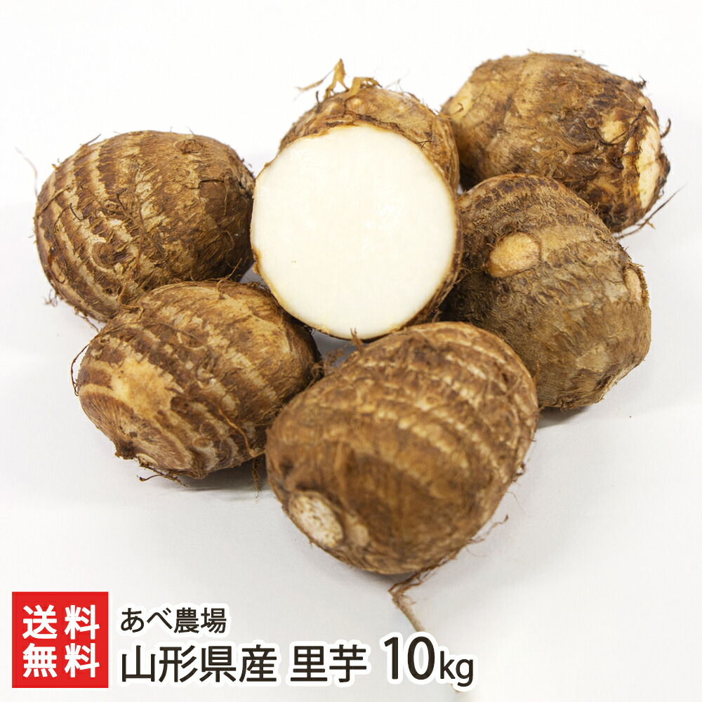 山形県産 里芋 10kg あべ農場 里いも さといも サトイモ ねっとり なめらか ほくほく 芋煮 芋煮会 煮物 ふかし芋 煮っころがし 真室川町 生産者直送 お取り寄せ ギフト プレゼント 贈り物 送料無料｜山形県公式ショップ 山形直送計画