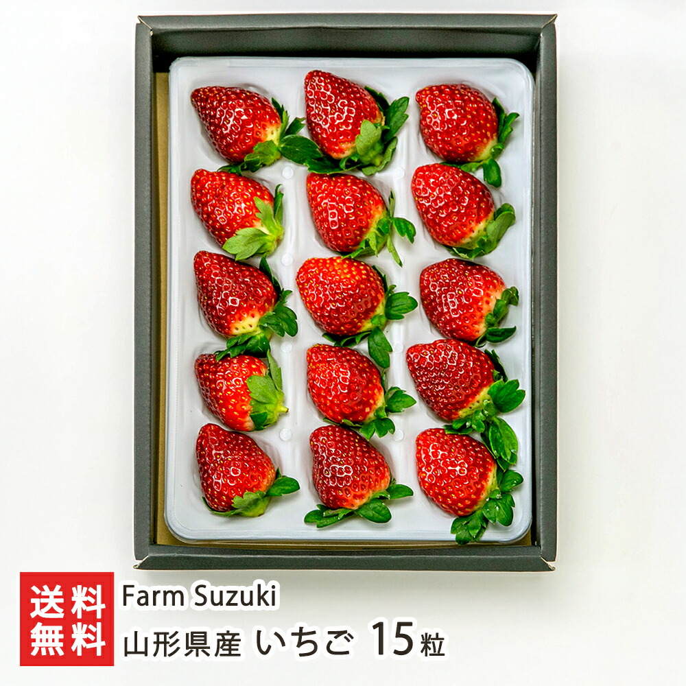 山形県産 いちご 15粒入 Farm Suzuki 苺 イチゴ とちおとめ フルーツ 化粧箱 東根市 山形県 生産者直送 お取り寄せ ギフト プレゼント 贈り物 送料無料