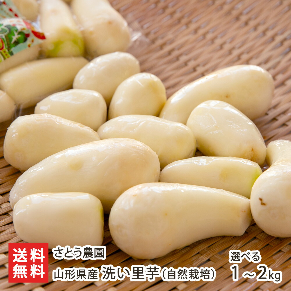 山形県産 洗い里芋（自然栽培） 選べる 1kg ～ 2kg さとう農園 野菜 サトイモ 里芋 真空パック 山形産 山形市 山形県 生産者直送 お取り寄せ ギフト プレゼント 贈り物 送料無料 お歳暮