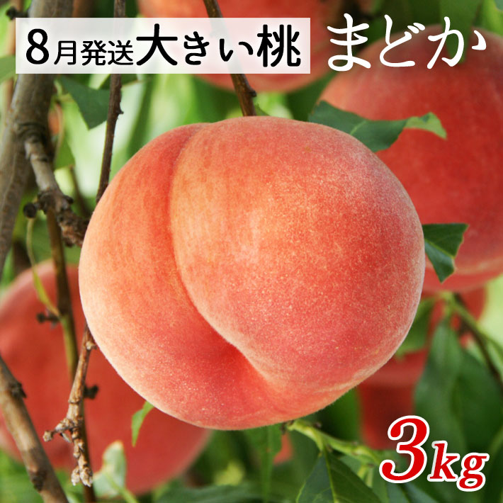 8月上旬お届けご予約 桃 特大サイズ まどか 約3kg（玉数おまかせ）山形県朝日町産 桃 【生産者直送のためほかの商品と同梱不可】 送料無料