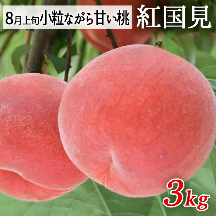 8月上旬お届けご予約 桃 小玉桃 紅国見 約3kg（玉数おまかせ）山形県朝日町産桃 【生産者直送のためほかの商品と同梱不可】