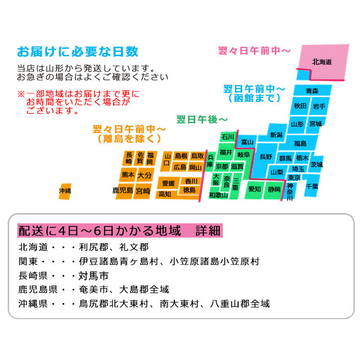 最新 山形 イラストレーター 山形 出身 イラストレーター