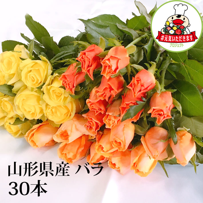 花 バラ 30本 山形県 寒河江市産 大沼バラ園 切り花 生産者直送のため同梱不可 送料無料 ピンク系 赤系 オレンジ黄色系 から選べます クール便｜まるごと山形 6,930円