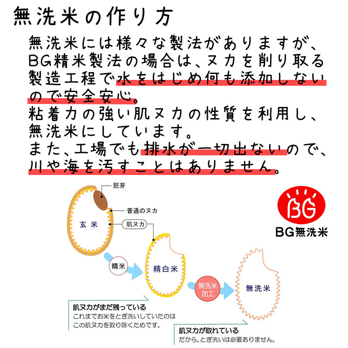 かわいい！ 米 5kg 無洗米 雪若丸 山形県産 BG無洗米 東北食糧 送料無料 qdtek.vn