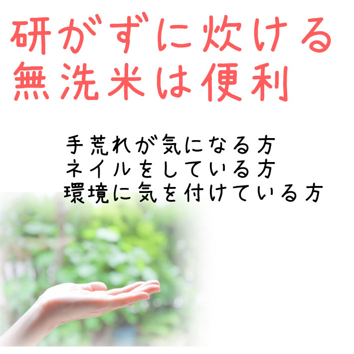 当店一番人気】 10kg 2kgx5袋 無洗米 令和4年産 帰省暮 12月お届け分予約 送料無料 新米 東北食糧 真空パック 冬眠密着包装 夢味米  はえぬき お米 山形県産 長期備蓄 米・雑穀