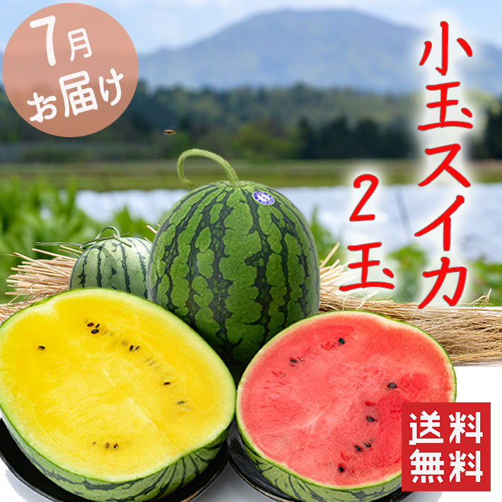 市場 スイカ 7月中旬 7月下旬発送 山形県産 送料無料お中元 2色の小玉すいかセット 1玉3kg以上