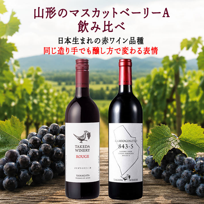 ワインセット 赤 辛口 御中元 夏ギフト 赤ワイン マスカットベリーA 2本 飲み比べセット タケダワイナリー ルージュ x 上荻野戸 山形ワイン 日本ワイン 国産ワイン｜まるごと山形
