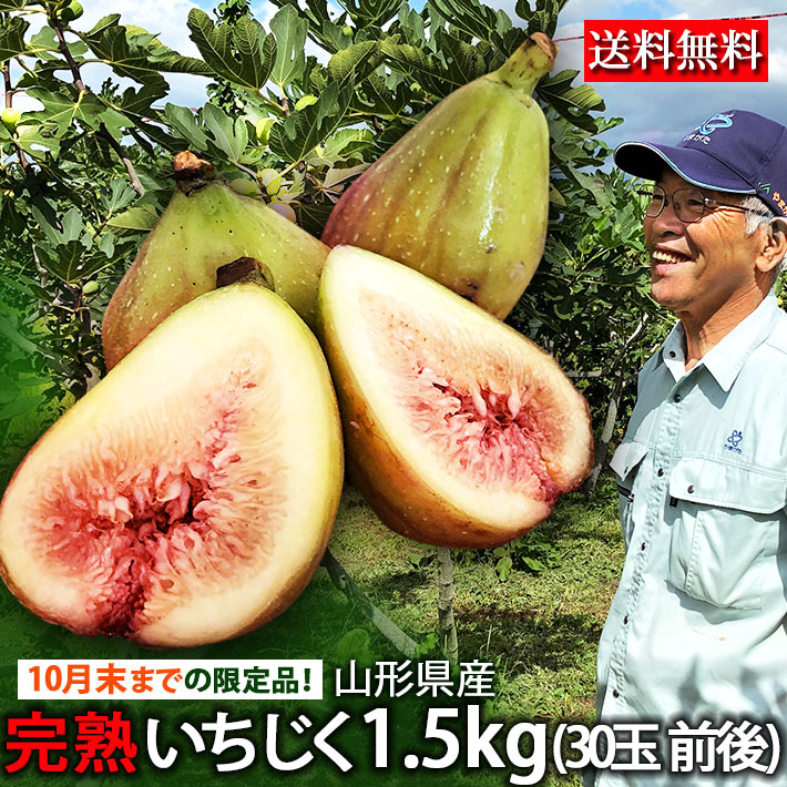 果物 9#1#9#10 楽天市場】9月から発送開始予定 いちじく 送料無料 山形県産