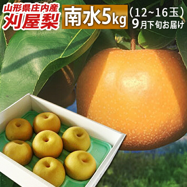 9月下旬～10月中旬ごろお届け 和梨 刈屋梨 南水 なんすい 約5kg 玉数おまかせ 山形県庄内酒田市産 生産元直送の為同梱不可