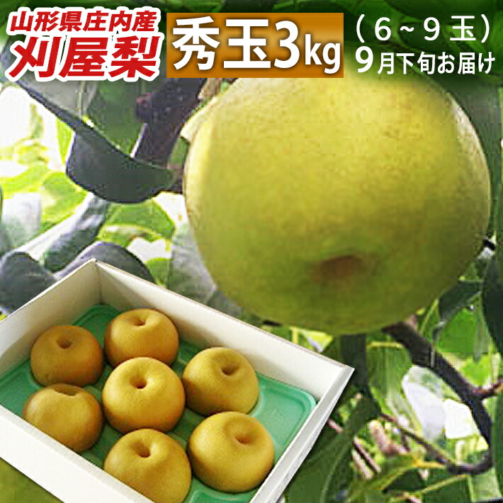和梨 9月下旬お届け 山形県庄内酒田市産 刈屋梨 秀玉 しゅうぎょく 約3kg 玉数おまかせ 生産元直送の為同梱不可 希少な和梨