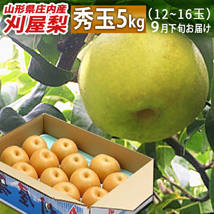 和梨 9月下旬お届け 山形県庄内酒田市産 刈屋梨 秀玉 しゅうぎょく 約5kg 玉数おまかせ 生産元直送の為同梱不可 希少な和梨