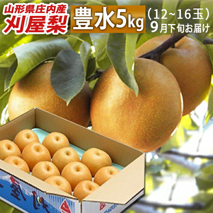 和梨 9月中旬～10月上旬頃お届け 山形県庄内酒田市産 刈屋梨 豊水(ほうすい) 約5kg 玉数おまかせ 生産元直送の為同梱不可 希少な和梨 人気の品種