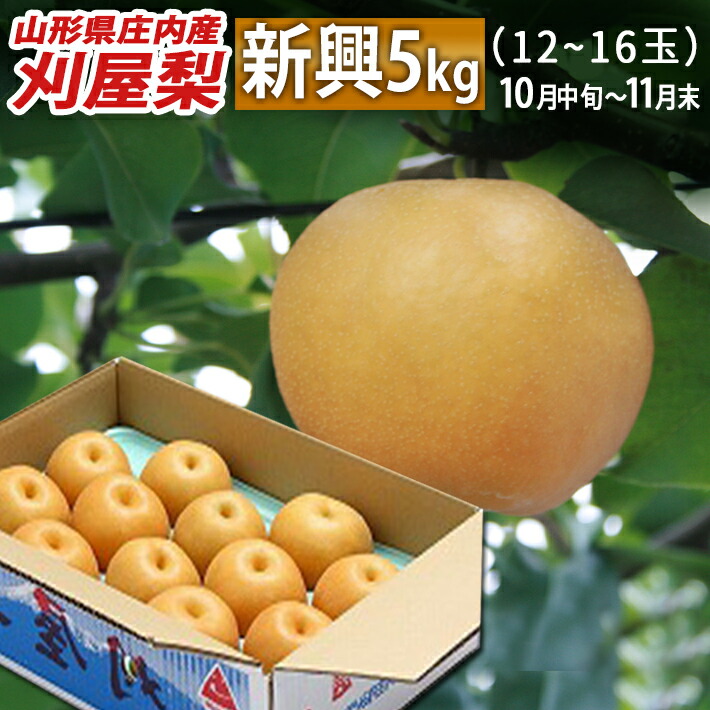 和梨 10月下旬～11月上旬頃お届け 山形県庄内酒田市産 刈屋梨 新興(しんこう) 約5kg 玉数おまかせ 生産元直送の為同梱不可 希少な和梨