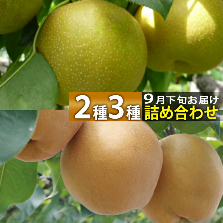 和梨 9月下旬～11月上旬頃発送予定 山形県庄内酒田市産 刈屋梨 2種3種詰め合わせセット 約5kg 玉数おまかせ 生産元直送の為同梱不可 旬の和梨を食べ比べ