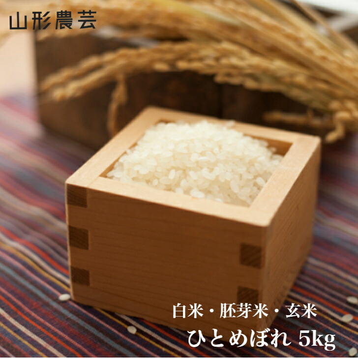 【送料無料】ひとめぼれ 5kg　山形県産 白米 胚芽米 玄米【沖縄・離島+2300円】米 お米 コメ 庄内米 酒田
