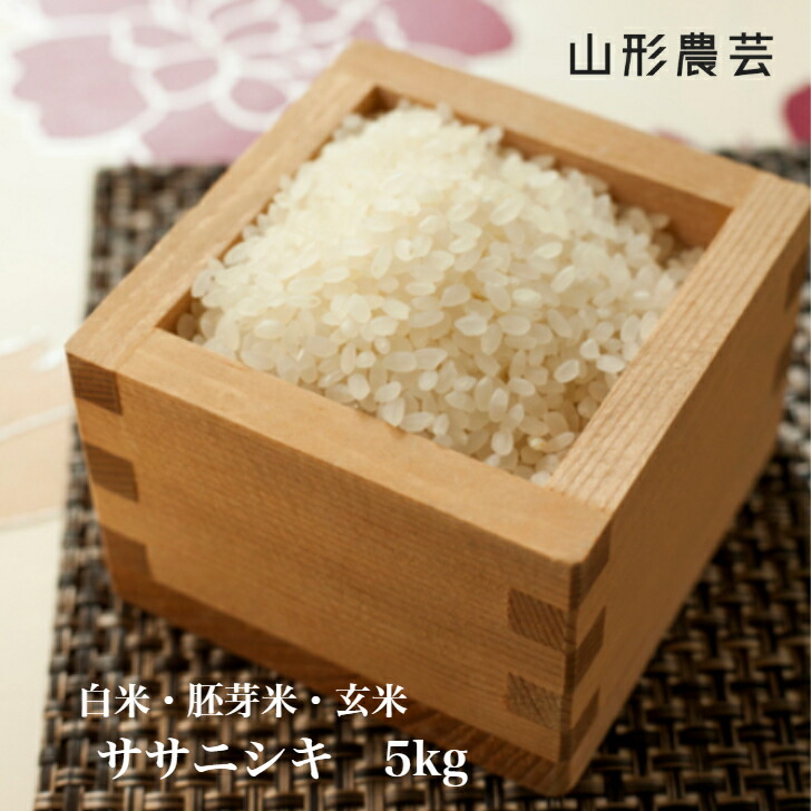 【送料無料】ササニシキ 5kg　山形県産 白米 胚芽米 玄米【沖縄・離島+2300円】米 お米 コメ 庄内米 酒田