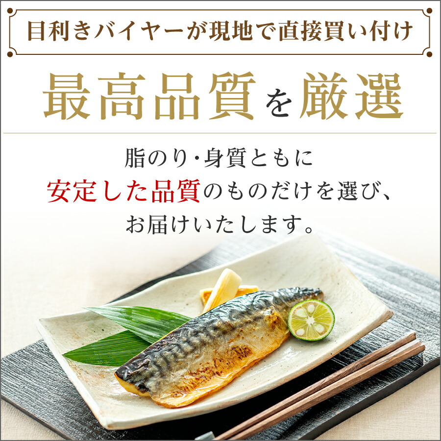 【2年連続！楽天市場3億点のなかで最も売れた商品】〈無塩〉 骨取りさば 北欧産 訳あり （選べる1kg・2kg）｜骨なし 骨抜き 鯖 天然 ノルウェー産 イギリス産 冷凍 ストック 業務用 食品 離乳食 お弁当 プロテイン DHA EPA 一部地域除き 送料無料