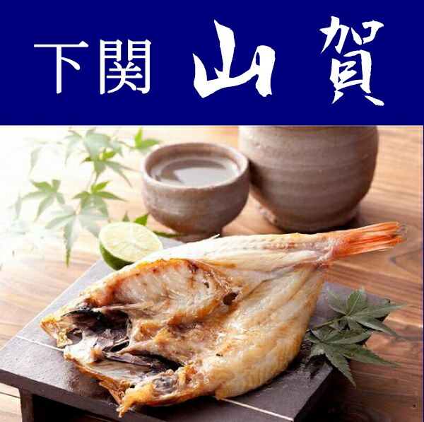 【送料無料】【山口県】【下関市彦島】【山賀】下関前浜　熟成のどぐろ４尾セット（Ｌサイズ）　※北海道・沖縄、離島は送れません※