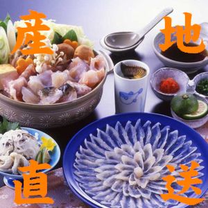 【送料無料】【山口県】【下関市】【ダイフク】とらふぐ料理セット（2～3人前）【ふぐ】【フク】【ふく】【フグ】【河豚】F-123