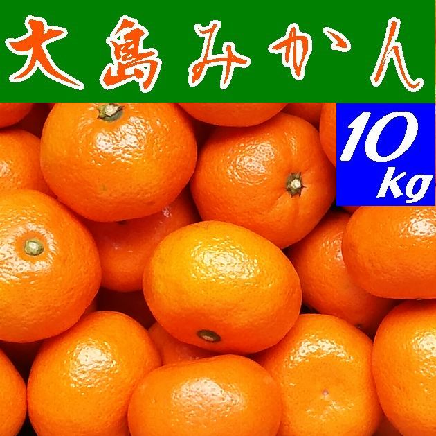 楽天市場】【やまぐちECエール便で送料無料】山口県産『大島みかん S