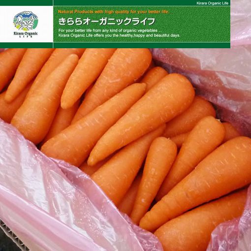 楽天市場 山口県 美祢市 きららオーガニック ライフ 有機野菜 にんじん 10kg混合 業務用 やまぐち開盛堂