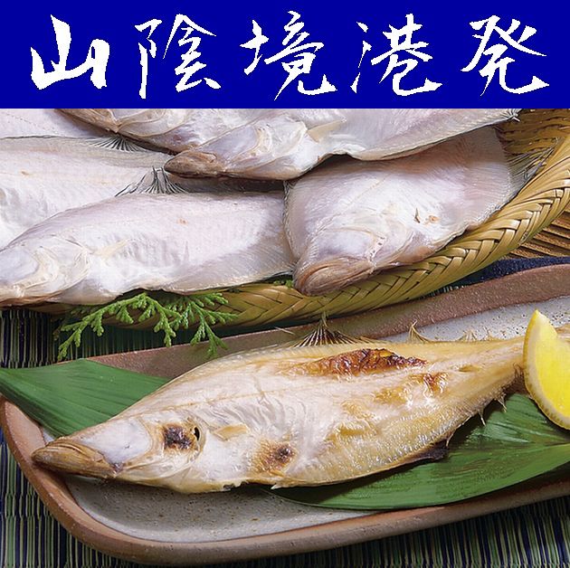 楽天市場】【送料無料】【萩の干物】山口県産かれい500ｇ【山口県】【萩市椿東】【創業明治23年】【萩・広松】【産地直送】 ※別途送料、東北500円、 北海道1000円・沖縄、離島不可※ : やまぐち開盛堂