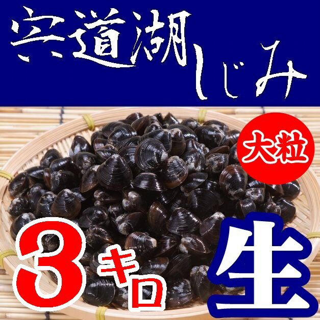 【送料無料】【砂抜き】宍道湖産　朝獲れしじみ（生）大粒３ｋｇ※東北、北海道、沖縄、離島は送れません※【島根県】【松江市中原町】【平野缶詰】