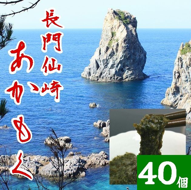 【送料無料】【冷凍】山口県産アカモク30ｇＸ40個※別途送料、東北500円、北海道1000円・沖縄、離島不可※ 【山口県】【長門市仙崎】【仙崎海産】