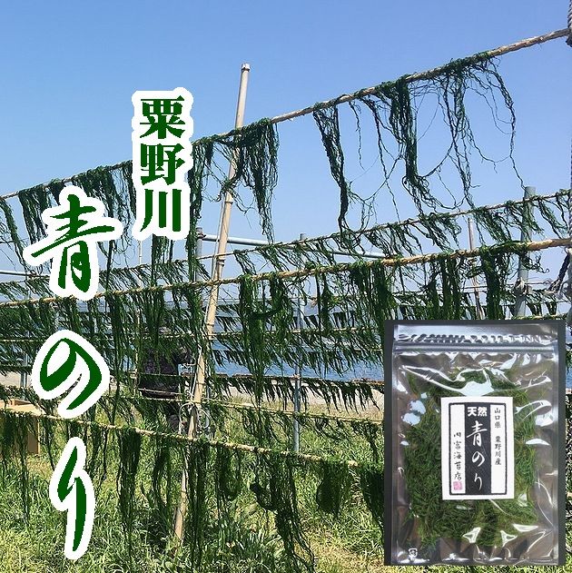 【楽天市場】【送料無料】【希少】粟野川のすじ青のり原藻５０ｇ【山口県】【下関市豊北町】【内富海苔店】【業務用】【青海苔】※別途送料、東北500円、北海道・沖縄・離島1000円※  : やまぐち開盛堂