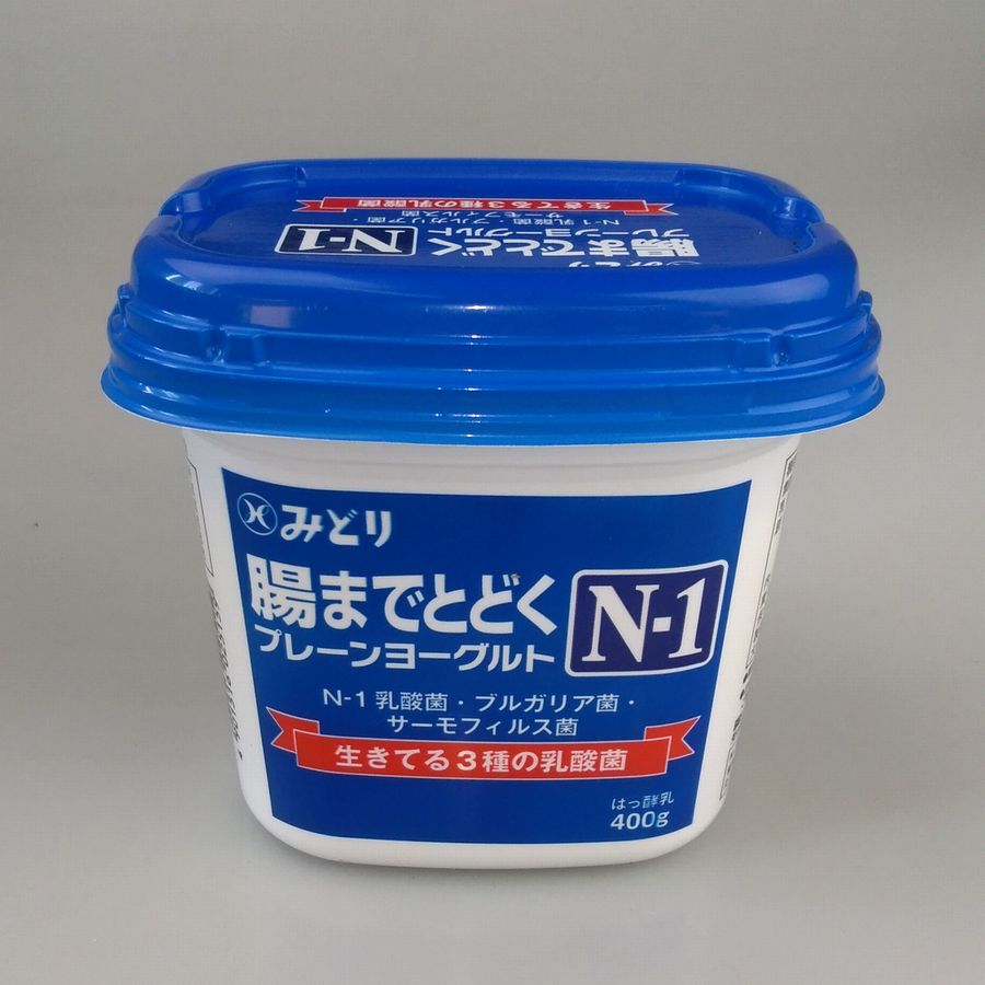 最大79%OFFクーポン 九州乳業 人気提案 腸まで届くＮ-1プレーンヨーグルト 400g