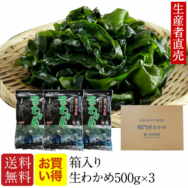 楽天市場】湯通し塩わかめ 500g 鳴門水域産 生ワカメ 茎つき