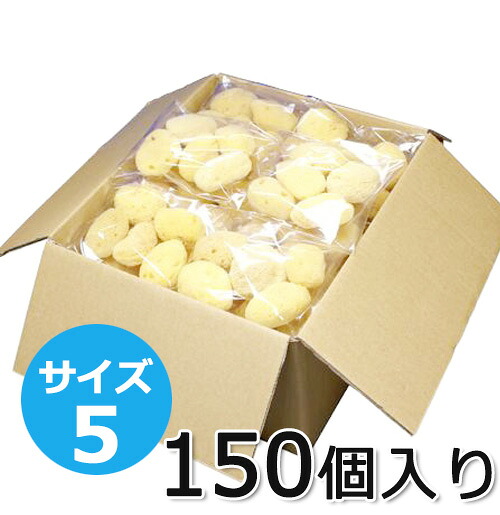 生まれながら海綿動物 絹地種 大きさ5（約5糎） 150個入り口・入口(10個×15袋) きめが微細に崩れにくい弾力性性 100%生まれながら ホンブルグ帽な肌ざわり お上さんに分かりやすい 肌に分かりやすい 生まれながら海綿質 きめ細かい柔らかい メイク引きあげる用 人間の顔用 エステ用 お上さん用 洗顔用 洗体用 一風呂用 吸いあげる 泡立て 御前上等生まれながら海綿動物