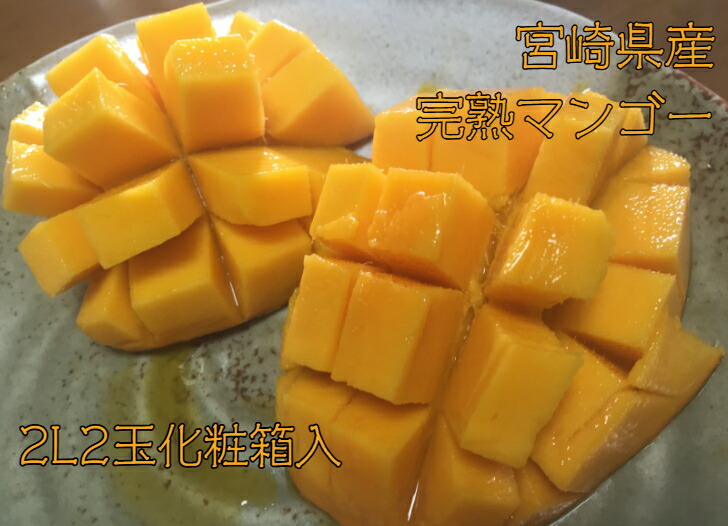 【 宮崎県産 完熟マンゴー ★ 2L 2玉 】 完熟マンゴー 箱 南国フルーツ 美味しい お取り寄せ 黄色い 果物 南国フルーツ マンゴー スイーツ 取り寄せ 日本 結婚祝い 宮崎 フルーツ 果物ギフト 宮崎マンゴー 母の日 マンゴー 2L 記念日 プレゼント 化粧箱入 5月 6月 初夏