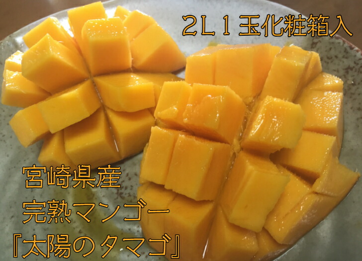 【 宮崎県産 完熟マンゴー ★ 2L 2玉 】 宮崎 完熟マンゴー 太陽のタマゴ ギフト マンゴー 太陽のたまご マンゴー 太陽の卵 母の日 マンゴー 宮崎 太陽のタマゴ 2l 2玉 2L ギフト 旬 母の日ギフト こどもの日 フルーツ お取り寄せ 内祝い 誕生日 父の日 フルーツ ギフト
