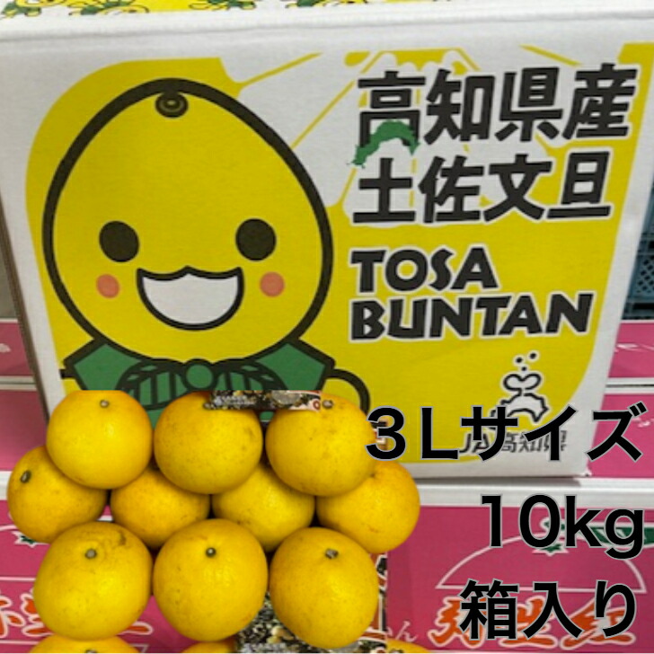 【高知県産★文旦3Lサイズ10kg】 文旦 ぶんたん 土佐 文旦 お取り寄せ ぶんたん高知 文旦 家庭用 贈答用 砂糖 漬け 美味しい 柑橘 家庭用 ギフト かんきつ 柑橘系 果物 旬 フルーツ くだもの フルーツ ギフト 果物 内祝い 贈り物 春 果物 好き プレゼント 箱